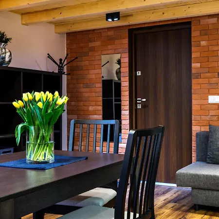 Apartament Tyzenhauz Economy Kraków